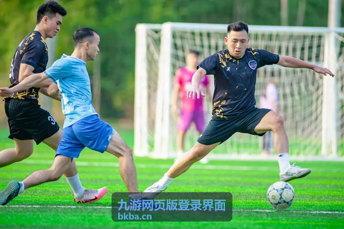 移动端自适应登录界面示例